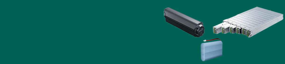 パック・モジュール